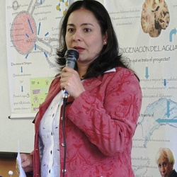 LICENCIATURA QUÍMICA