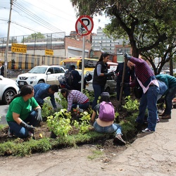 JORNADA POR EL AMBIENTE UPN - 2016
