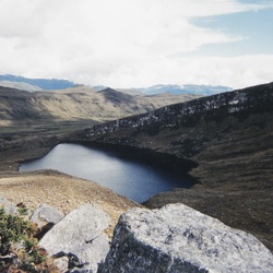 CÁTEDRA BOGOTÁ NUEVO MILENIO - PÁRAMO SUMAPAZ