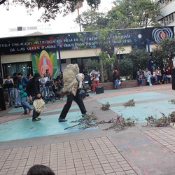FIESTA DE LA PAZ