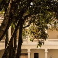 Patio de la memoria 2019 (14)