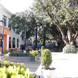 CALLE 72