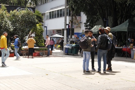 bienvenida antiguos 32