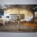 Exposicion Silencios 1