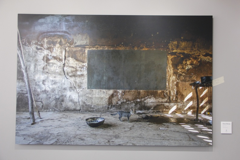Exposicion Silencios 2.JPG
