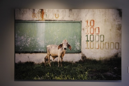 Exposicion Silencios 28