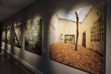 Exposicion Silencios 30