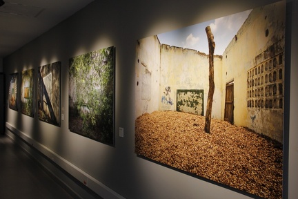 Exposicion Silencios 31