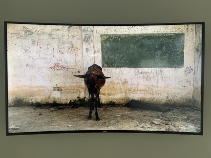 Exposicion Silencios 42