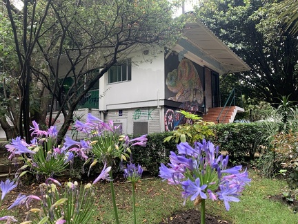 casa pensamiento 2
