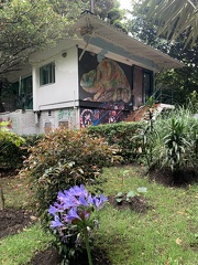 casa pensamiento 3