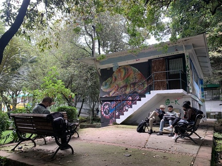 casa pensamiento 4