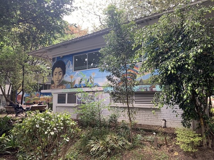 casa pensamiento 9