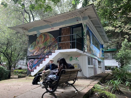 casa pensamiento 12