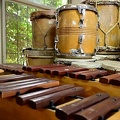 musica 7