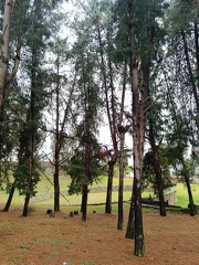 IMG 20250211 110733