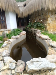 IMG 20250211 112836
