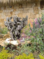 IMG 20250211 112943