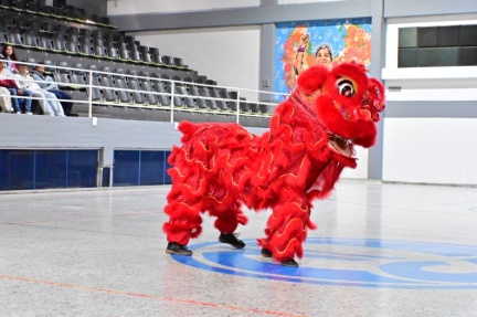 cusro china (1)