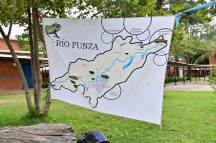ipn (3)