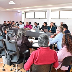 1ra mesa técnica conformación Instituto de Formación Posgradual