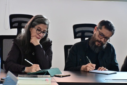 conformacion posgradual (19)