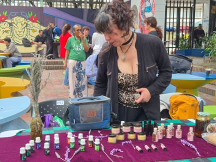 emprendimientos verdes (5)
